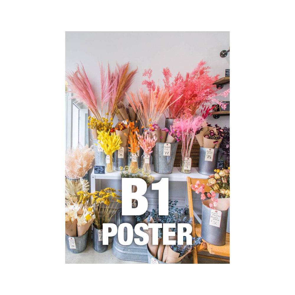 B1 Posters